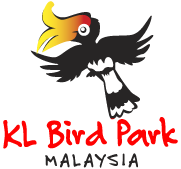 KL bird park