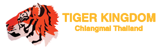 tiger kingdom